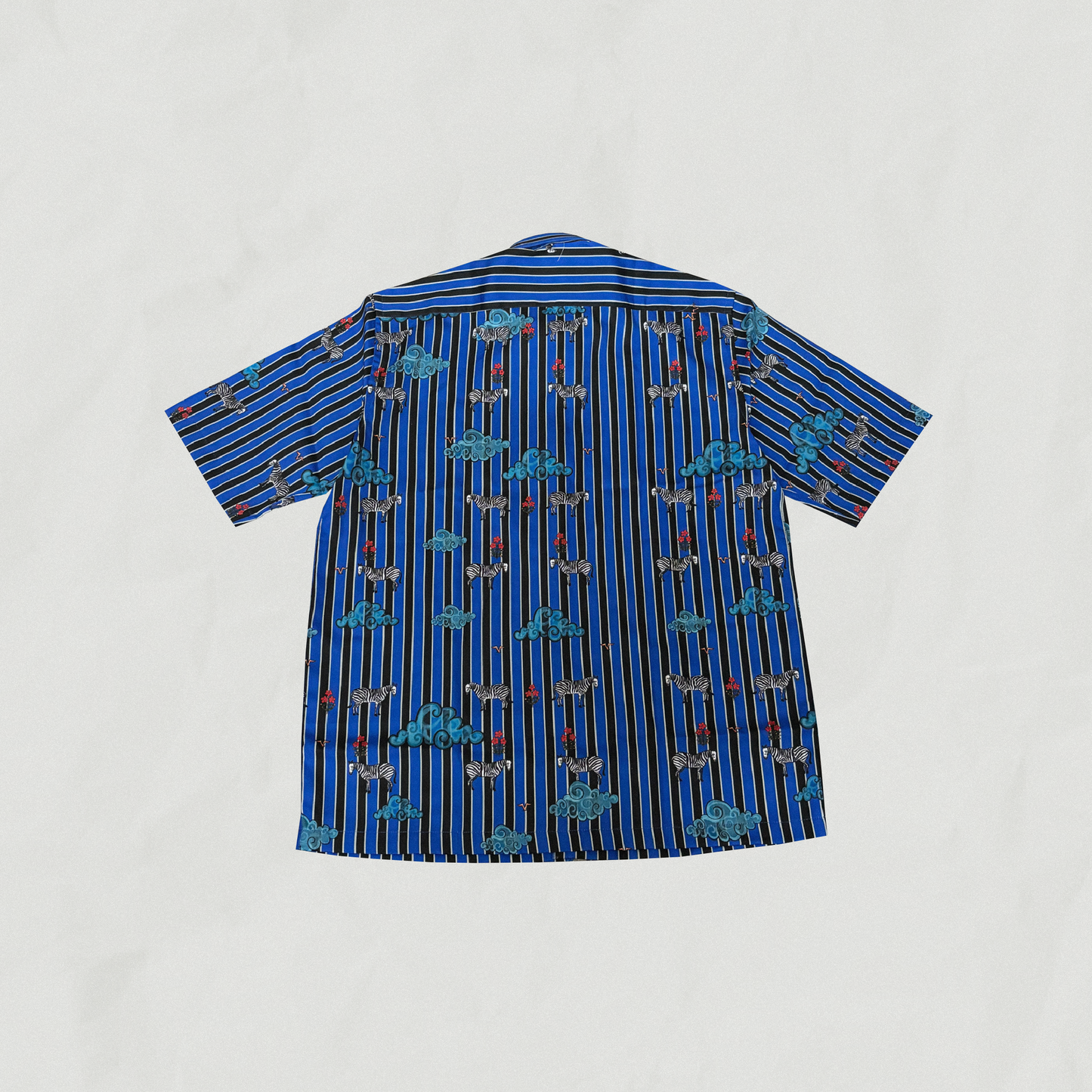 Blue Zebra's who Love Clouds Unisex Half Sleeve Shirt