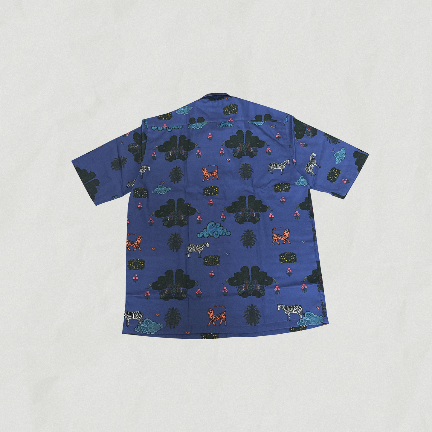 Pleasant Day Half Sleeve Shirt